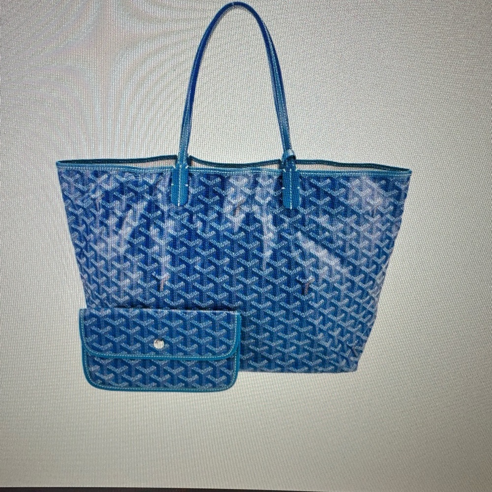 Goyard Goyardine St.Louis Pm with pouch